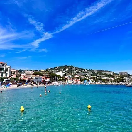 Palais Des Festivals Croisette Cannes