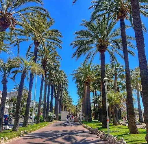 Appartement Palais Des Festivals Croisette